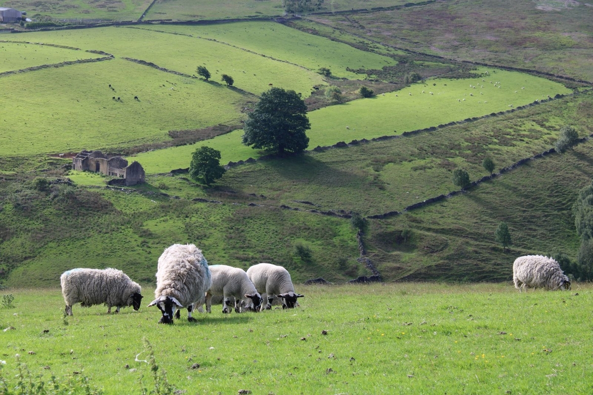 High Up on Royd Edge - Clive Bond